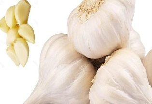 Garlic Side Effects तुम्ही देखील जास्त प्रमाणात लसूण खाता? या आजारांचा धोका वाढतो