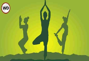 Yogasan for Digestion : पाचन क्रिया चांगली राहण्यासाठी फायदेशीर आहे योगासन दररोज नियमानं सराव करा