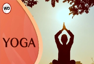 Yoga For Women महिलांच्या समस्या सोडवण्यात योगाचे योगदान