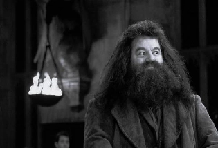 Harry Potter's 'Hagrid' dies अभिनेते रॉबी कोल्ट्रेन यांचं निधन