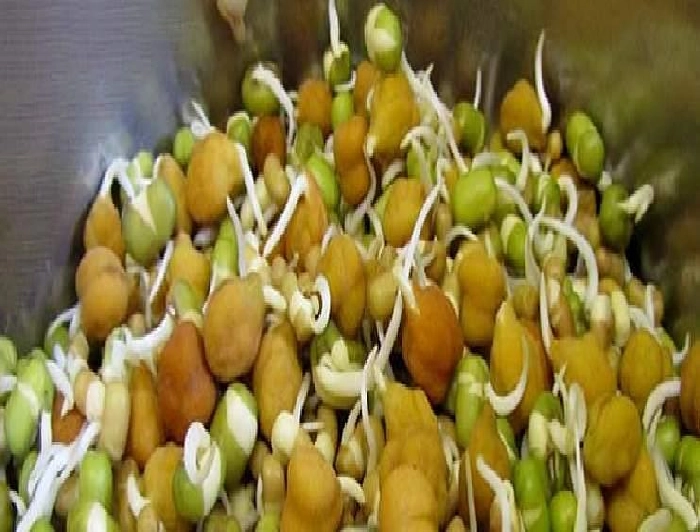 Raw or Cooked Sprouts कच्चे की उकडलेले स्प्राउट्स आरोग्यासाठी फायदेशीर ? जाणून घ्या खाण्याची योग्य पद्धत