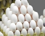 Egg  Recipe : मुलांसाठी हिवाळ्यात बनवा अंड्याच्या या सोप्या रेसिपी