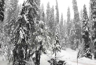 कश्मीर मध्ये बर्फवृष्टी पहायला जातांना हे लक्षात ठेवणे