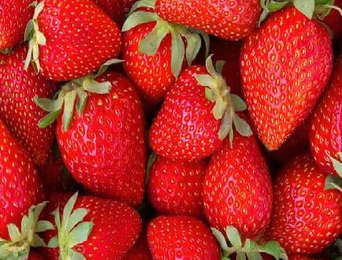 Strawberry for Love स्ट्रॉबेरी खरोखरच शारीरिक संबंधासाठी फायदेशीर असते का?