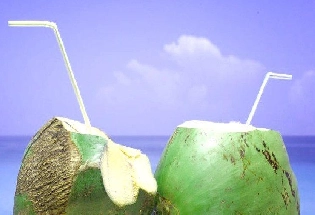 BP जास्त असल्यास नारळ पाणी प्यावे का?, जाणून घ्या हायपरटेन्शनमध्ये Coconut Water पिण्याचे फायदे आणि तोटे