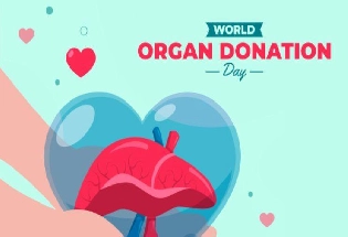World organ donation Day 2023 : 'जागतिक अवयव दान' दिवसचा इतिहास आणि महत्त्व