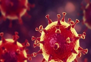 Covid : कोरोना व्हायरसच्या संसर्गाची 529 नवीन प्रकरणे नोंदवली, जेएन.1 चे 109 प्रकरण आढळले
