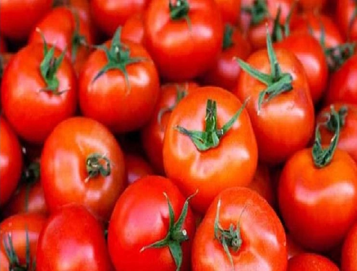 Tomato Price टोमॅटो झाला लाल, भाव 100 रुपये किलोवर पोहोचले; जाणून घ्या कारण