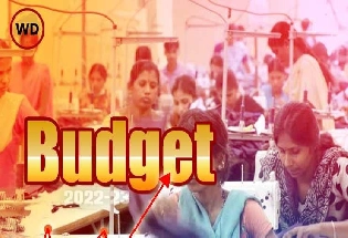 Budget 2022: सरकार महिलांसाठी या 3 नवीन योजना सुरू करणार, जाणून घ्या किती फायदेशीर ठरतील?