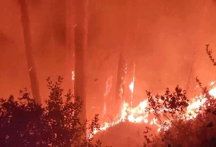 धगधगत आहेत नैनितालचे जंगल, उत्तराखंडच्या जंगलातील आग भयानक का होते आहे?