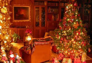Christmas Tree Vastu Tips : ख्रिसमस ट्री वास्तू दोष दूर करतं, जाणून घ्या वास्तूनुसार सजावट कशी करावी आणि ठेवण्याची योग्य दिशा कोणती