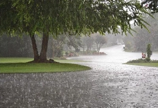 ब्राझील मध्ये मुसळधार पाऊसामुळे आला पूर, 29 लोकांचा मृत्यू
