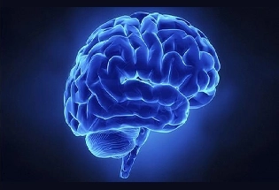 Healthy Mind मेंदू तीक्ष्ण करू इच्छिता? या टिप्स Brain Power वाढवण्यात प्रभावी