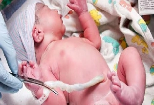 बाळाची नाळ महत्वाची का आहे? नाळ जपून का ठेवायची जाणून घ्या
